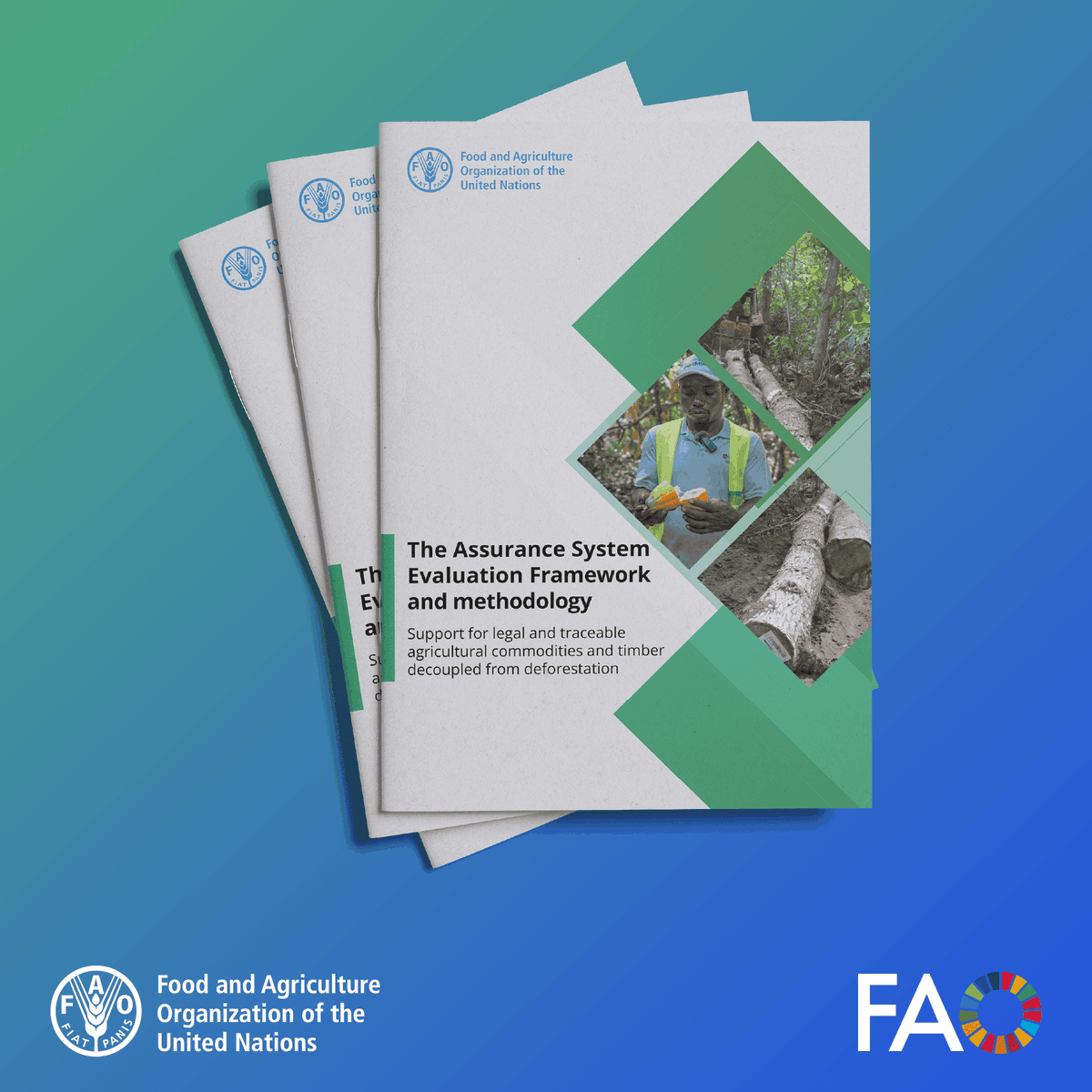 FAOForestry's tweet photo. 📢 Read a new @FAO publication on assurance systems:
The Assurance Systems Evaluation Framework and methodology - Support for legal and traceable agricultural commodities and timber decoupled from deforestation
👉 https://t.co/3W8ZSGfrx1
#EUDR #SupplyChain #ZeroDeforestation https://t.co/8kCF6TqbYA