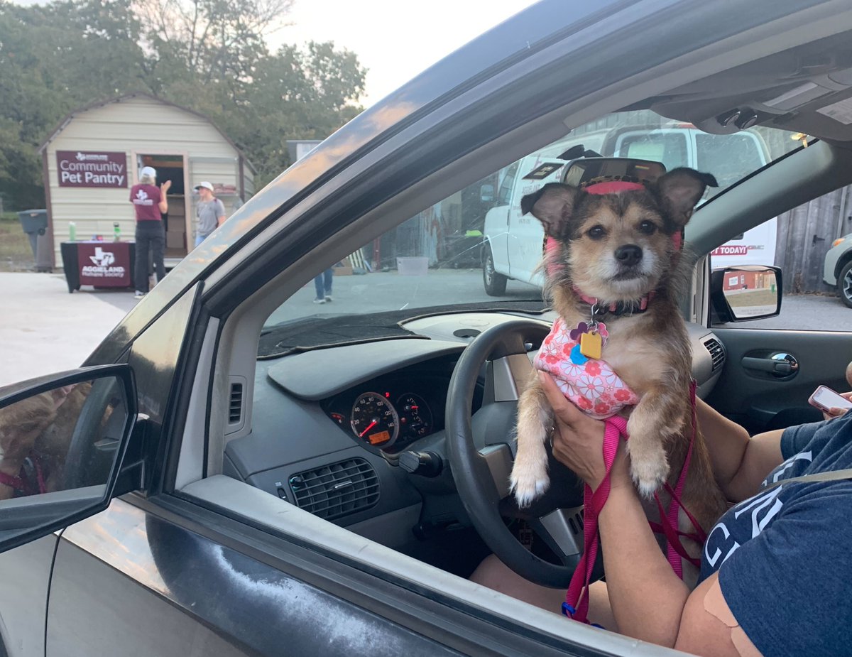 AggielandHumane's tweet photo. Today, we have one goal: RESTOCK THE SHELVES! 💪
In the last year, our Community Pet Food Pantry has provided nearly 40k meals to pets in need across the Brazos Valley. 
Help us keep pets fed and with the families who love them: https://t.co/5t9OD6g8JT https://t.co/CUIdELxZ8T