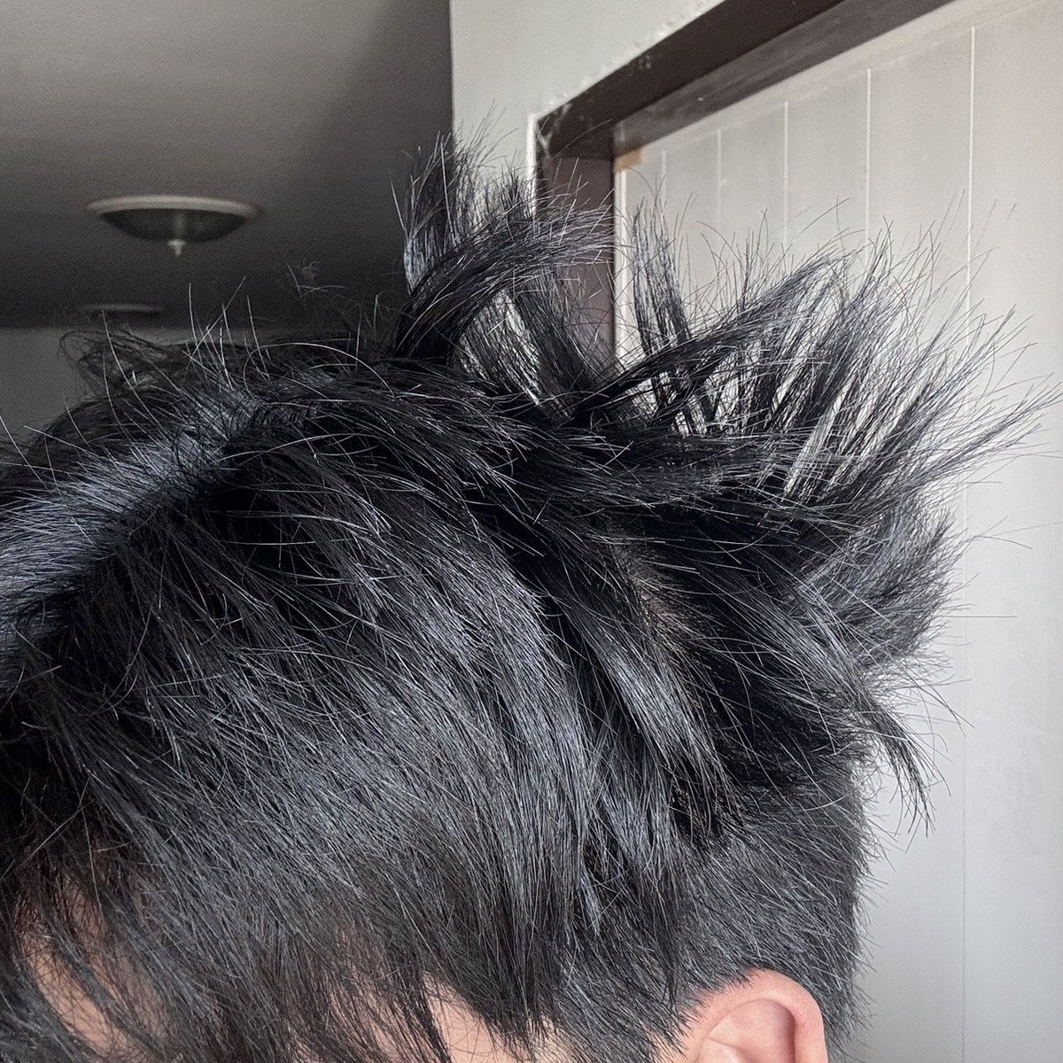 quest (@9RBKQx01Yu) / Posts / X