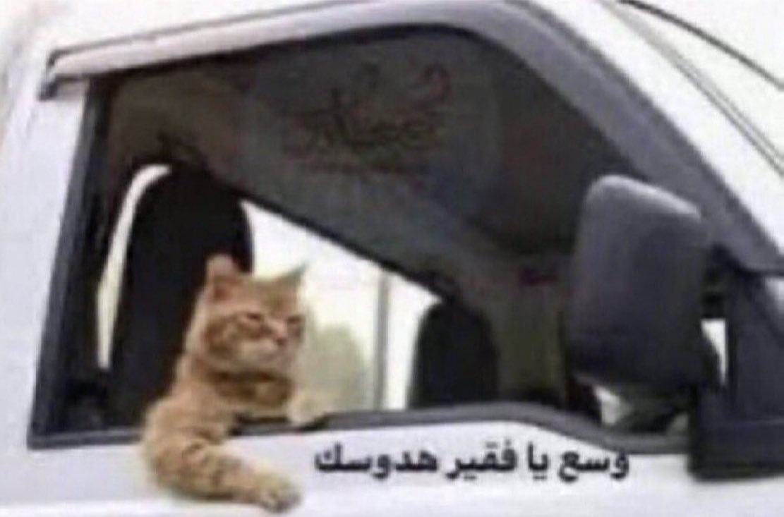 مُنا 𓂆 tweet media