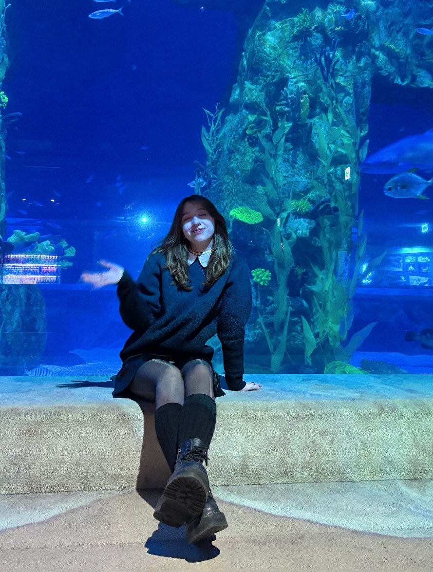 ੈ✩‧₊˚ lucy ⋆·˚ ༘ * tweet media