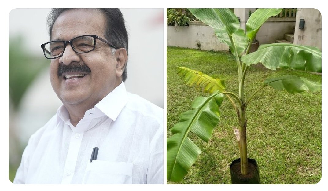 criti_doc's tweet photo. @BJP4Keralam @INCIndia @CPIMKerala @dir_ed @pinarayivijayan https://t.co/zGhKuEWeqP