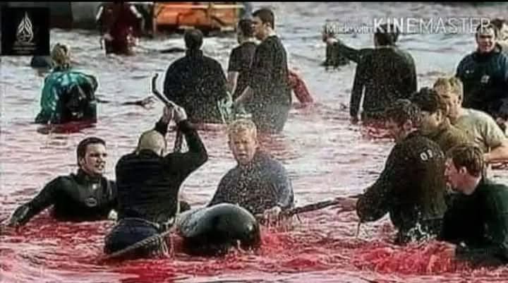 Jokerrr🇵🇰 tweet media
