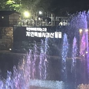 산삼 tweet media