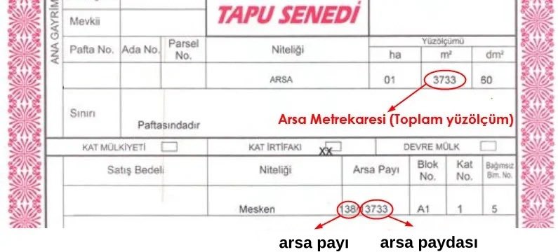 İnşaat Doktoru tweet media