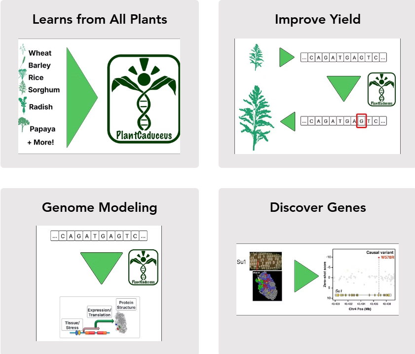 Agricultural Research Service tweet media
