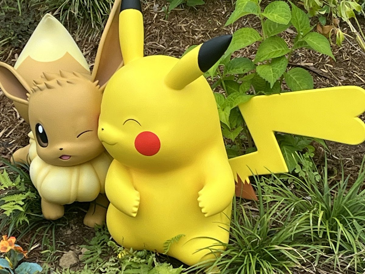 lesser_pig's tweet photo. ポケパーク行ってきた！めちゃくちゃ楽しかった！ https://t.co/nPDPZMgHX9
