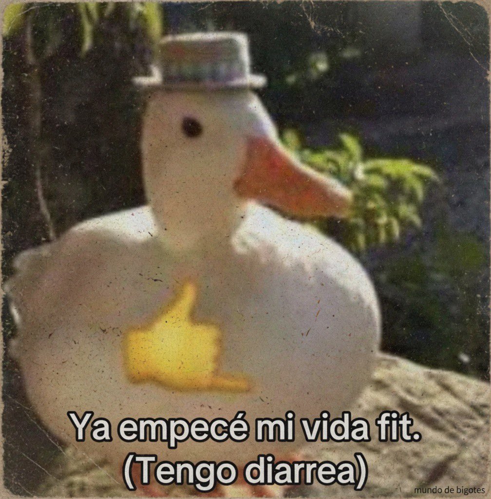 MundoDeBigotes's tweet photo. https://t.co/bLRnvor4Om