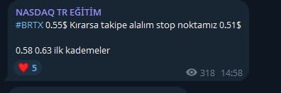 NASDAQ TR I ABD Borsası & Teknoloji Yatırım tweet media