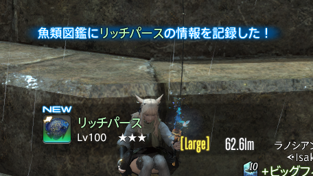 isaki_ff14's tweet photo. 対戦ありがとうございました！
残りは、ブラッ��オキシドラス、ロイヤル・ファロウェラだけ！ https://t.co/vxatXTeOl1