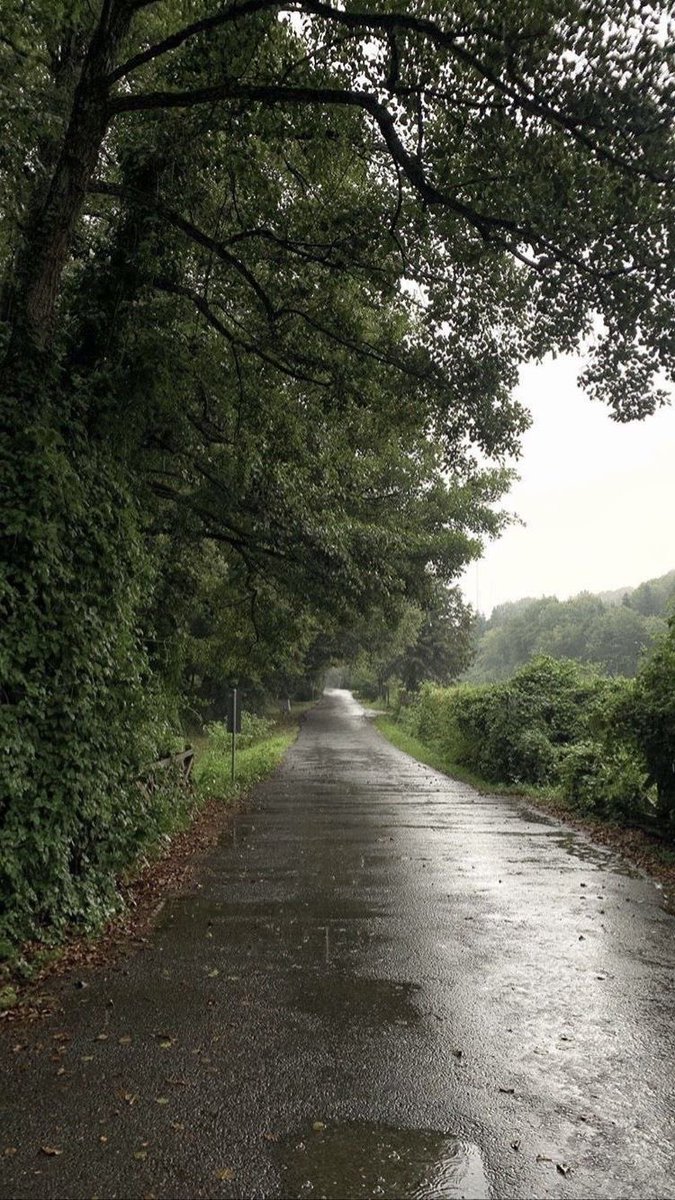lunecrumbss's tweet photo. walk in the rain >>> https://t.co/e7WCCaU2ne