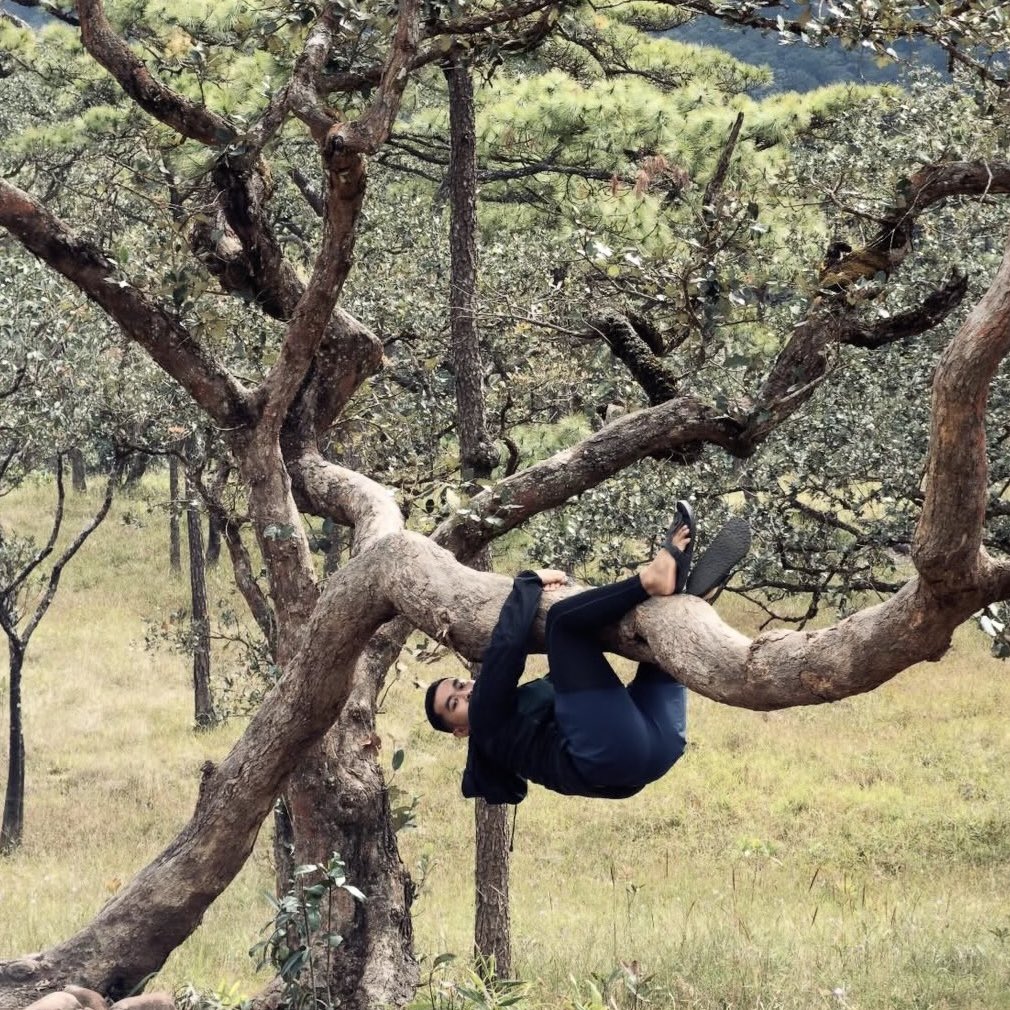 Domesync163773's tweet photo. พบลิง 1 ตัวบนลานสนภูสอยดาว 🐵🌳🌲☁️ https://t.co/vLMIi6CaCB