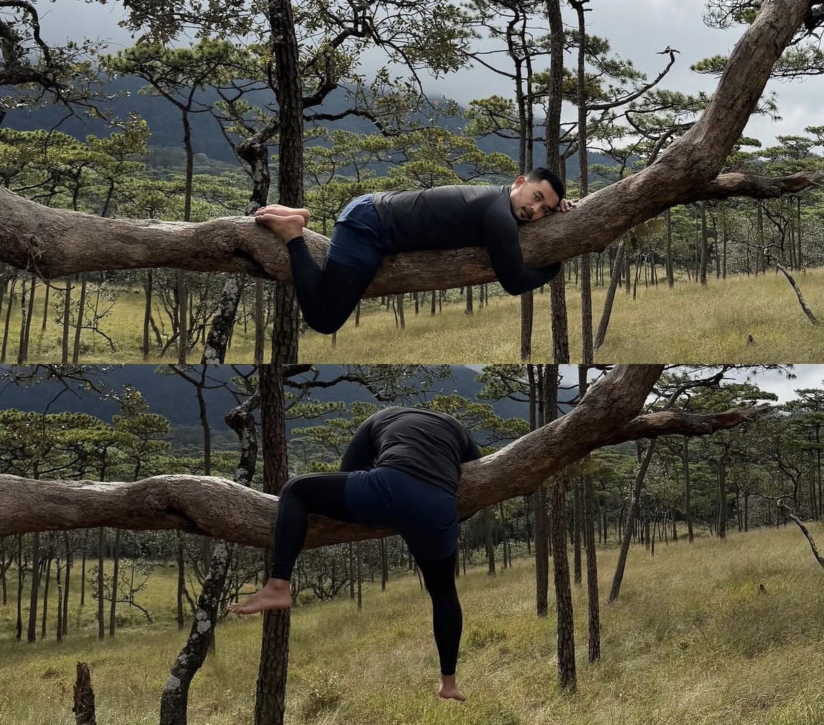 Domesync163773's tweet photo. พบลิง 1 ตัวบนลานสนภูสอยดาว 🐵🌳🌲☁️ https://t.co/vLMIi6CaCB