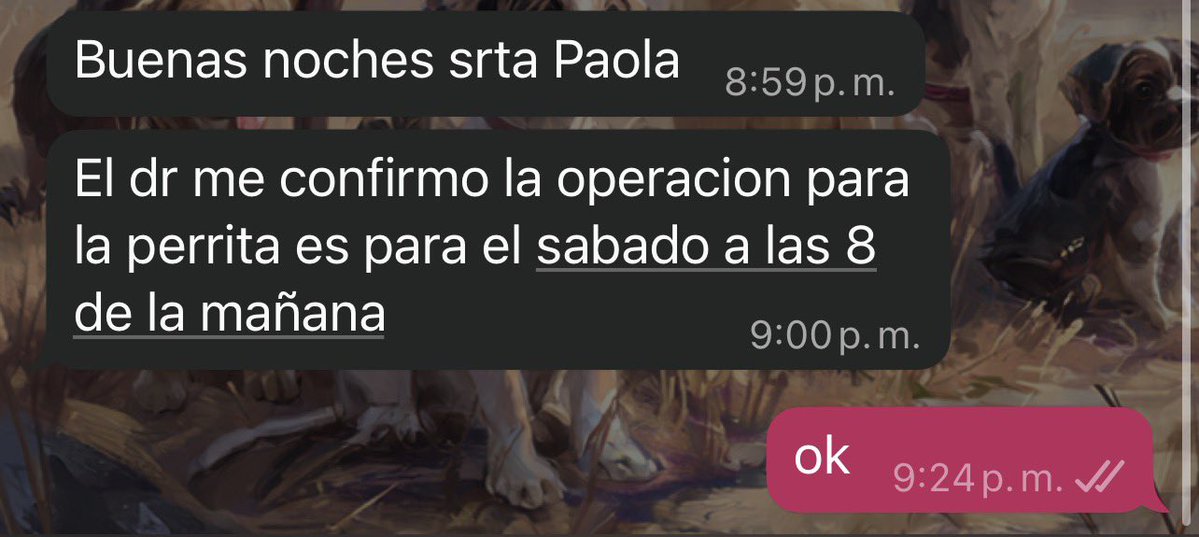 peravi's tweet photo. El veterinario programó la esterilización para el sábado a las 8am van a separar a los cachorros y a la mamá. Por favor se necesita ayuda urgente … además quiero ver la posibilidad de internarla aunque sea 3 días pero tiene un costo de S/90 no sé si lo logre y comida para los perritos ando buscando quien pueda rescatarlos pero nada son 4 hembritas 1 macho 😭 Saco comida dog chow cachorro S/ 170
Cualquier apoyo: Yape/plin: 922 912 750