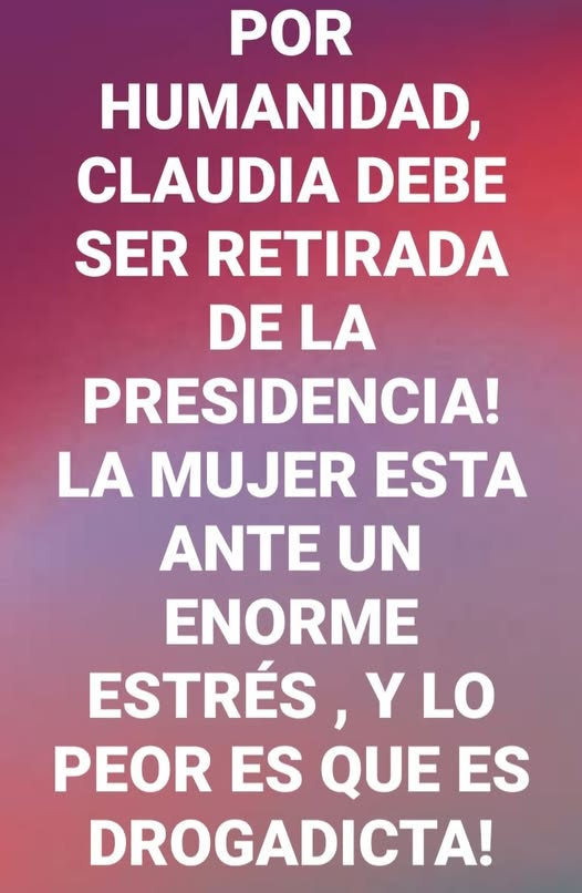 constanza luna tweet media