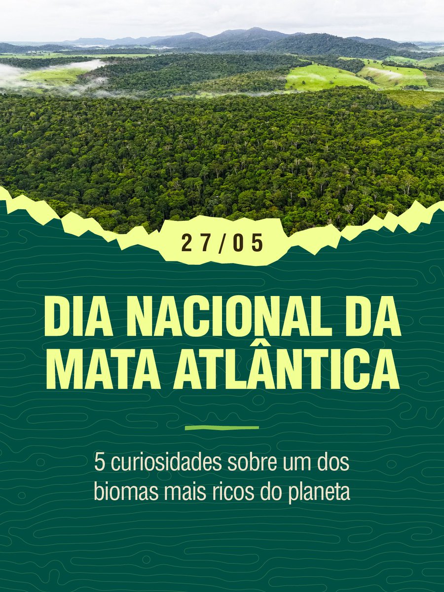 InstitutoIPE's tweet photo. No Dia Nacional da Mata Atlântica, reunimos algumas curiosidades sobre esse bioma que faz parte da vida de milhões de brasileiros. https://t.co/CRCg0gwKIa