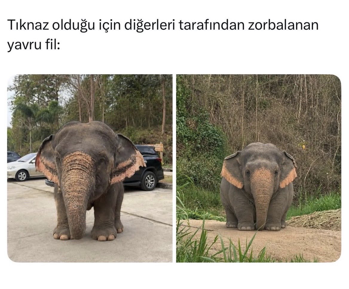 Hayalakblk's tweet photo. Gündemdekiler yetmezmiş gibi bi de sana üzülücem şimdi #27Mayıs https://t.co/GV3Ax9BnMb