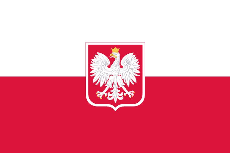 Pawel 🇦🇷🇪🇸🇳🇴🇯🇵 tweet media