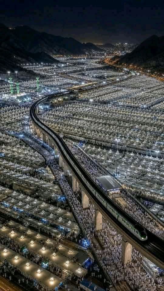 وليد tweet media