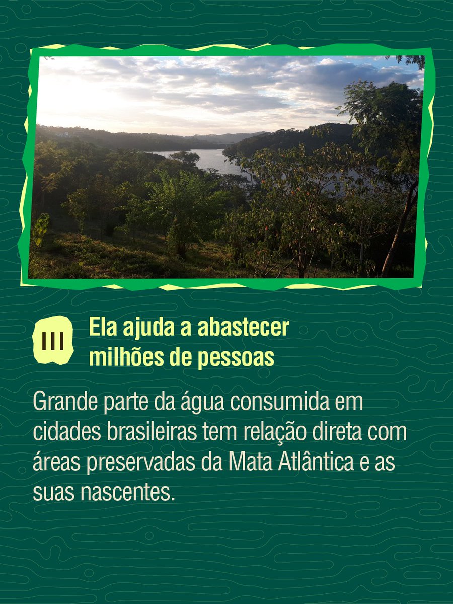 InstitutoIPE's tweet photo. Qual curiosidade mais chamou sua atenção? Conta pra gente nos comentários! 👇 https://t.co/tVGoHY9thr