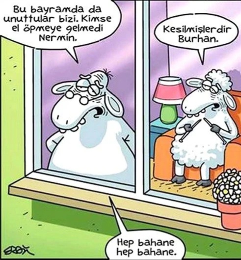 Neşe Bayazıt🏆 tweet media