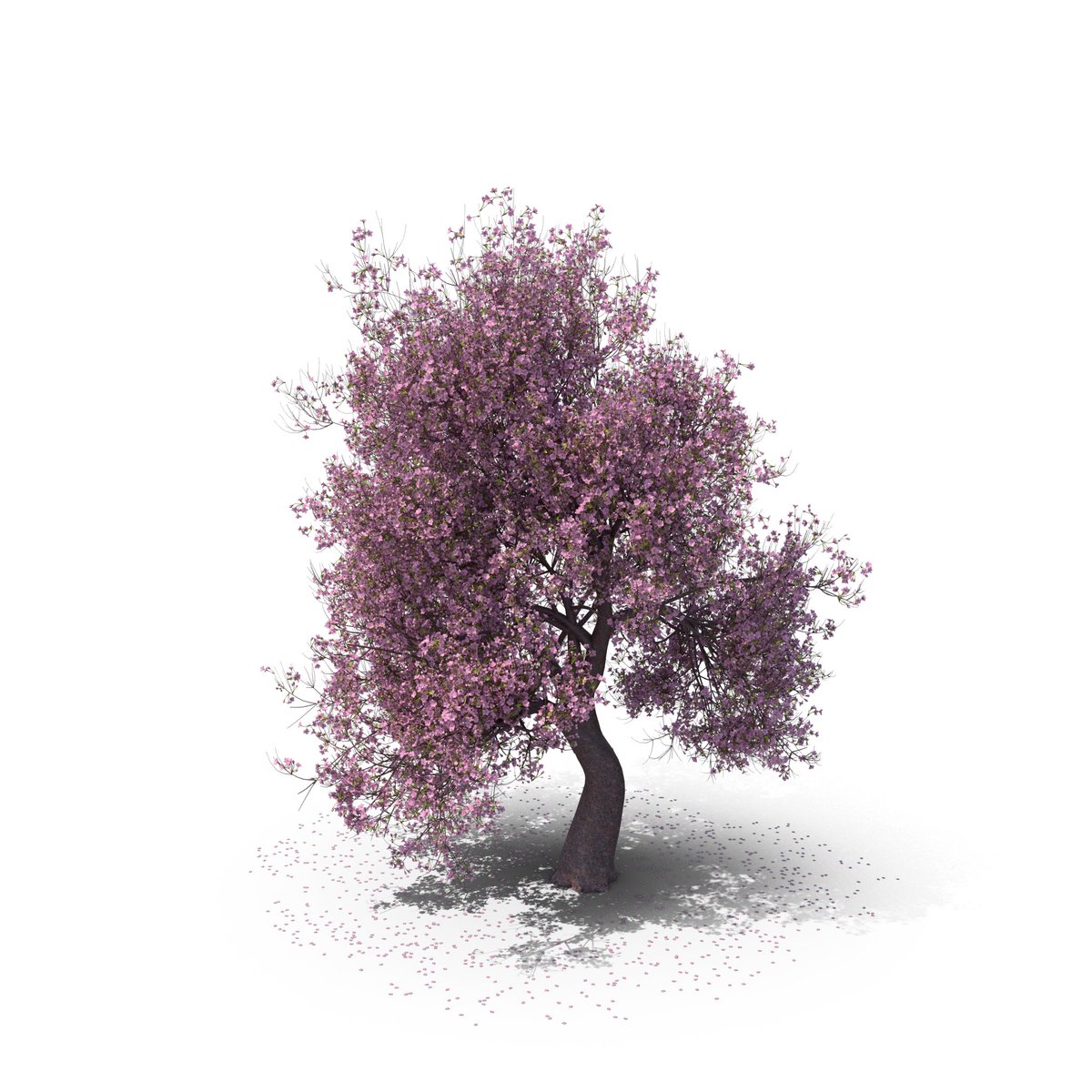 ShortyVisuals's tweet photo. @hybr_ They are from this 3d cherry blossom tree render you can see throughout the breakdown. so no they are not hand-drawn but also not AI. https://t.co/nBwWxEB1No