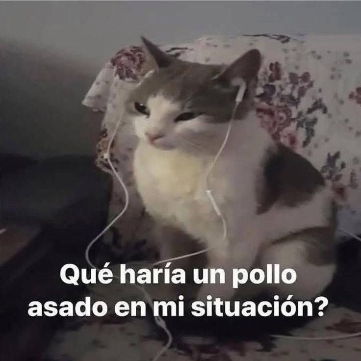 Meredith Gay 🛋️✨ tweet media
