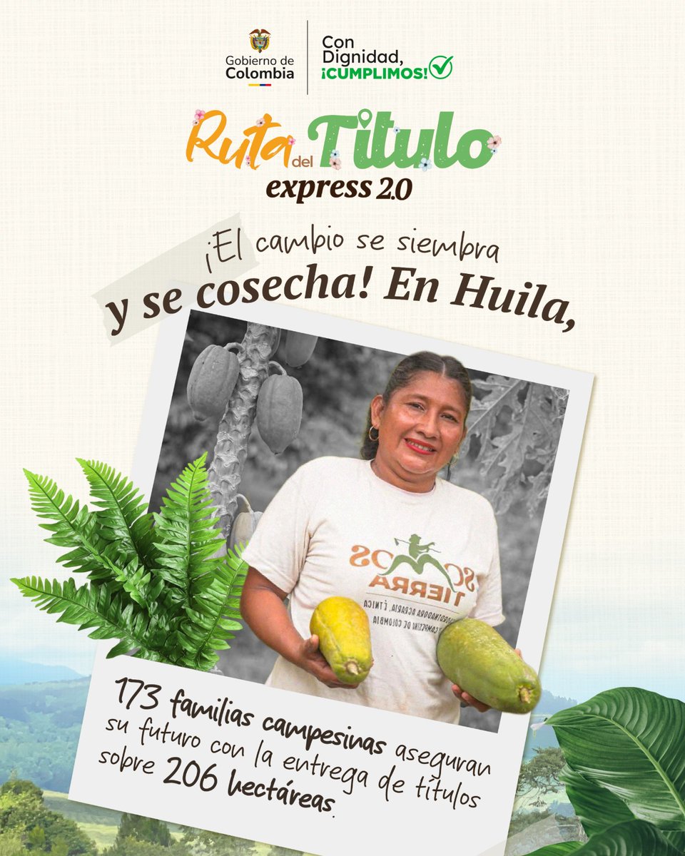 DorisHBernal's tweet photo. En la Plata, Huila hoy formalizamos 206 Hectáreas beneficiando 173 familias campesinas, que por décadas soñaron ser dueños de sus predios. 
La tierra que durante años cultivaron con sus manos, ahora con seguridad de que les pertenece. 🌱👨🏻‍🌾 
#ConDignidadCumplimos
#RutaDelTítulo2.0 https://t.co/YNjqn8owYe