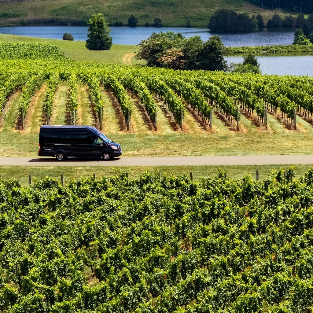 AMBLimo's tweet photo. Luxury Wine Tours, Perfectly Planned!

Spring is perfect for exploring the vines in style. Our curated Charlottesville wine tours offer comfort, local expertise, and a seamless ride while you enjoy the best local pours.

Get in touch with us for a custom route at (434) 973-5466. https://t.co/AgvYJogQJt