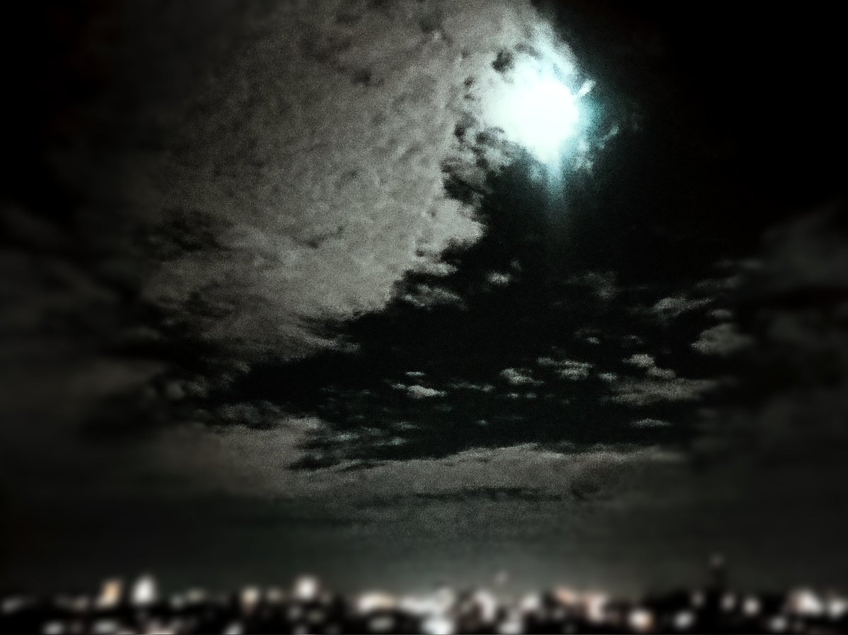 🌝クロエナオアキ🌚 tweet media