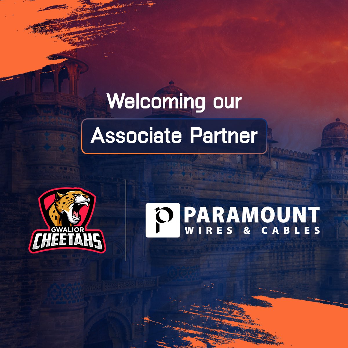 Gwalior Cheetahs tweet media