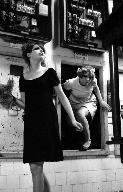 Jopolkadot's tweet photo. Daisies

Věra Chytilová
1966 https://t.co/L2ilsv8ulQ