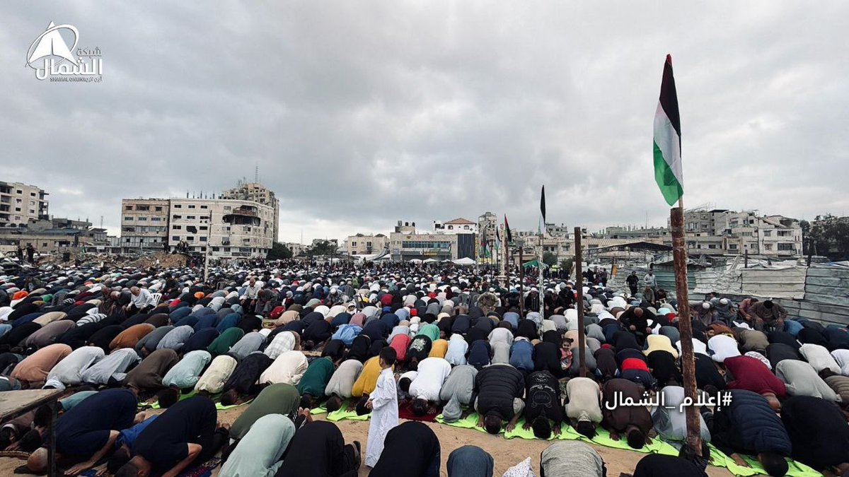 TIMES OF GAZA tweet media