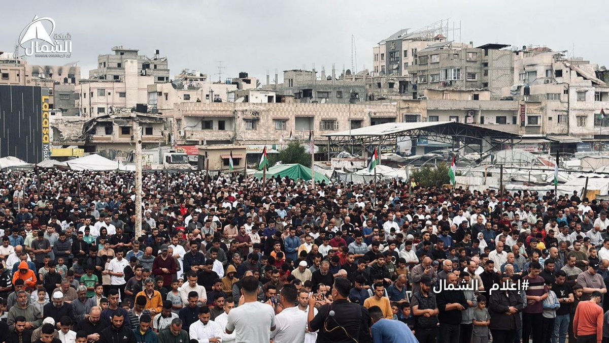 TIMES OF GAZA tweet media