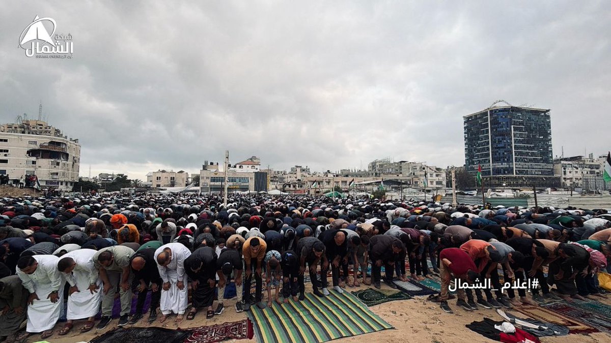 TIMES OF GAZA tweet media