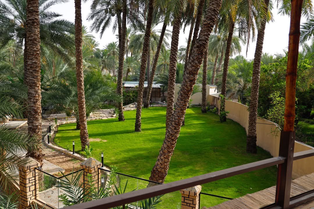 ExperienceOman's tweet photo. In this #Eid, take a walk through #HujratAlSheikhTouristWalkway with family and friends ✨

Every step reveals natural views and beautiful scenes worth pausing for and enjoying 🌿

Amid the fresh breeze and beautiful atmosphere, the experience becomes complete with cozy seating and a variety of options to enjoy great flavors and quality time ✨

Insta: 📸 Aqeel Al Mawali

#Oman
#OmanByYou
#ExperienceOman
#BeautyHasAnAddress