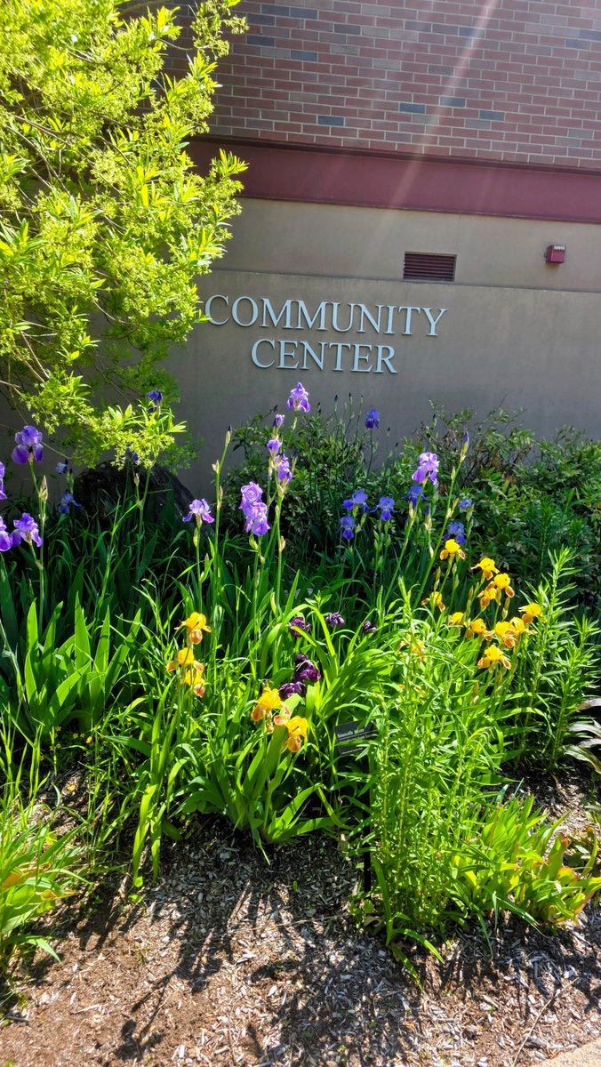 NHALAW's tweet photo. Happy Wednesday! 😁We recently wrapped up May seminars! We held a seminar in Canton at The Canton Community Center. Here are some photos 📸 of the lovely grounds - we love the beautiful plants and 🌸🌷🌺 flowers!✨June seminars are on our website - please join us! https://t.co/huL58EIaUO