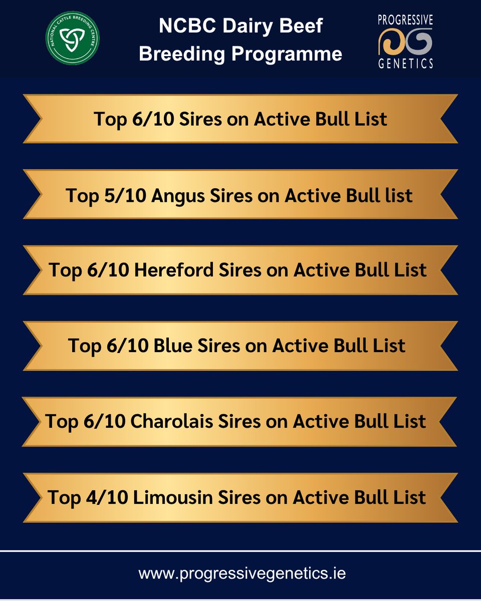 progressivegen's tweet photo. ICBF May 2026 Evaluations have been released 🥇

We are proud to say we have 6 out of the top 10 bulls on the Active Bull List 🏆

To see our full range of sires, contact your local breeding advisor today 📞 https://t.co/23M7oGkEvu