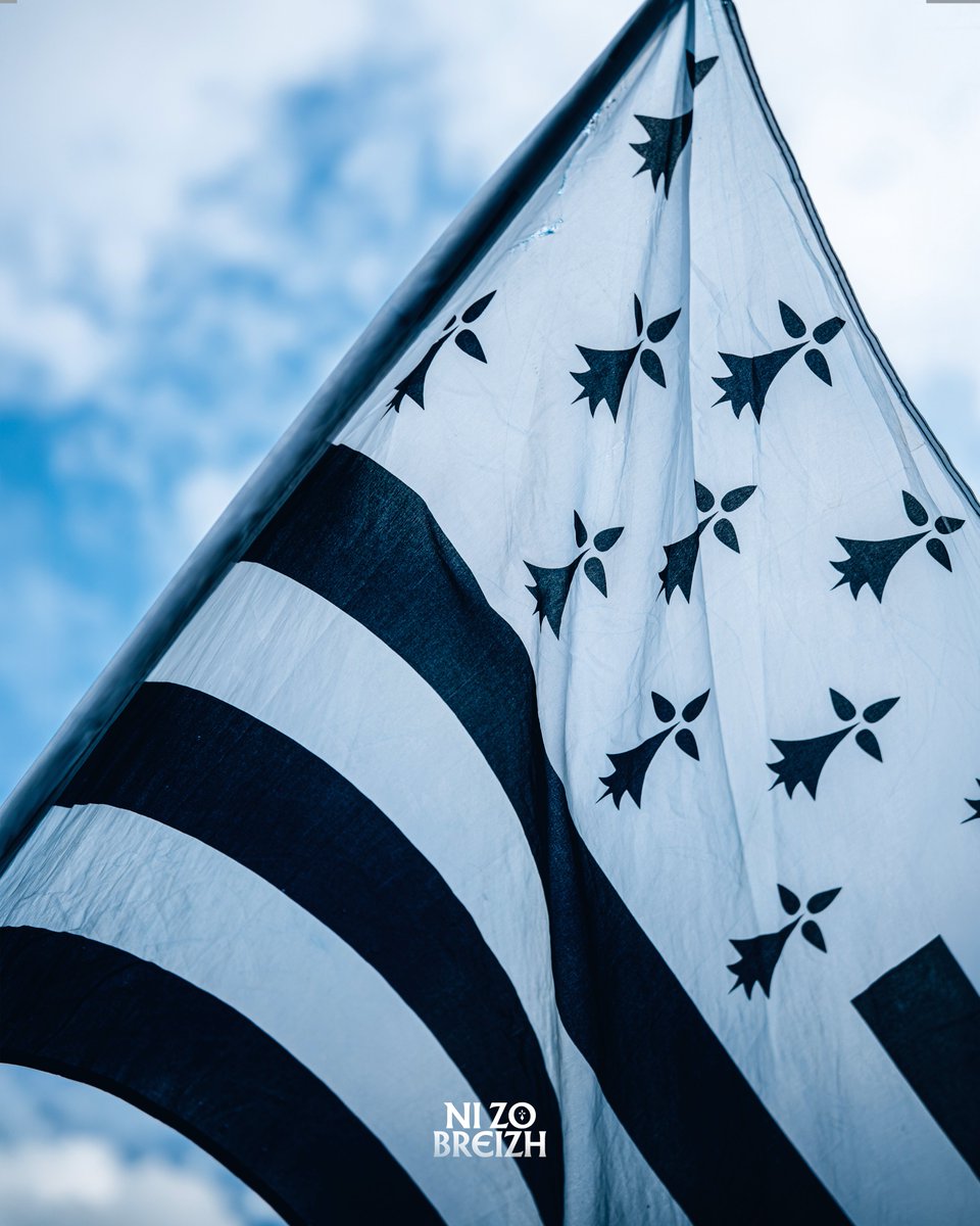 Rugby Club Vannes tweet media