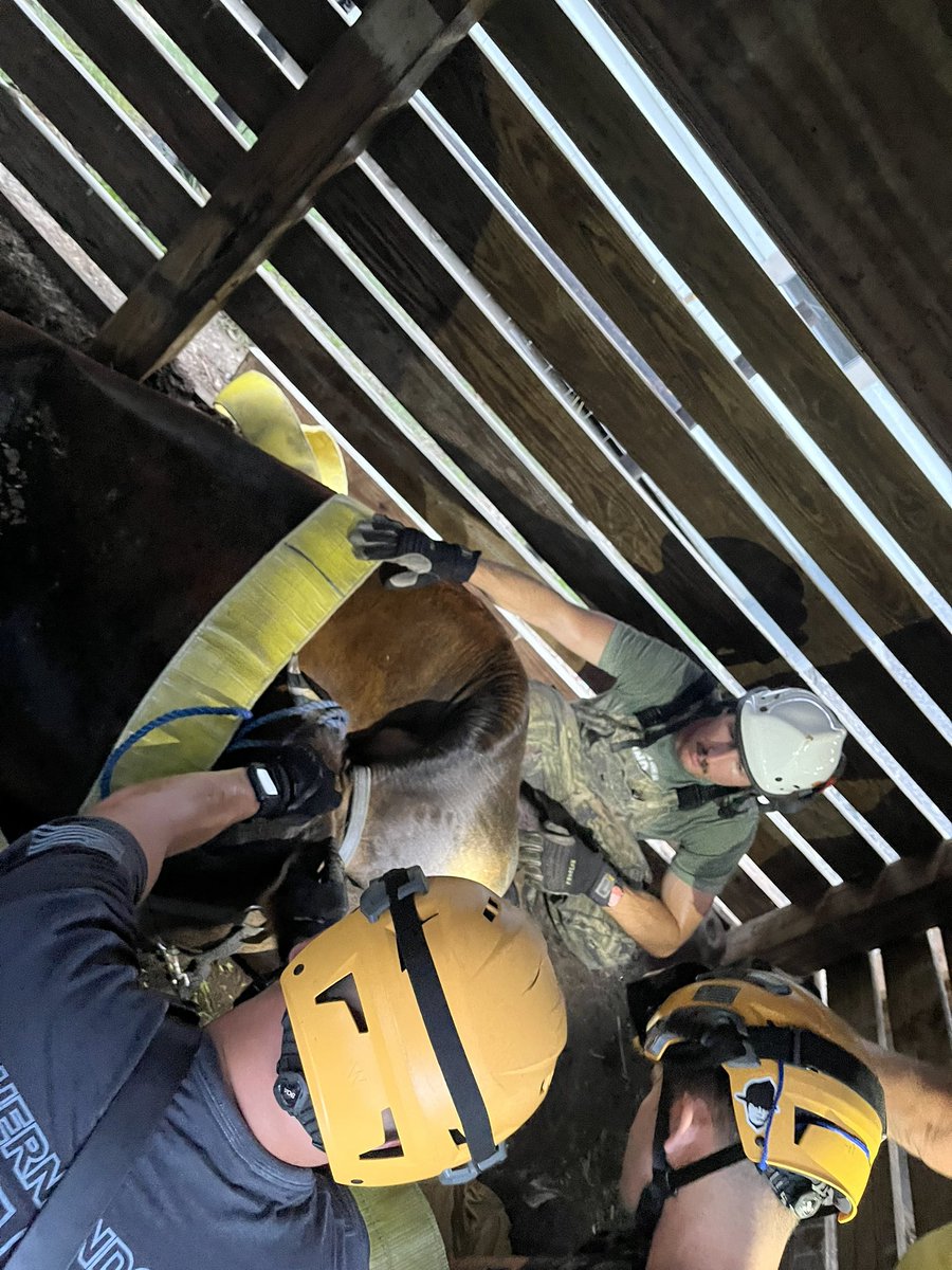 HernandoCoFire's tweet photo. Firefighters Large Animal Rescue for a Pregnant Cow 🐄 🚒 
More info here 👉🔗 https://t.co/oqKAZ2QQpA https://t.co/YqeM9Hz7D4