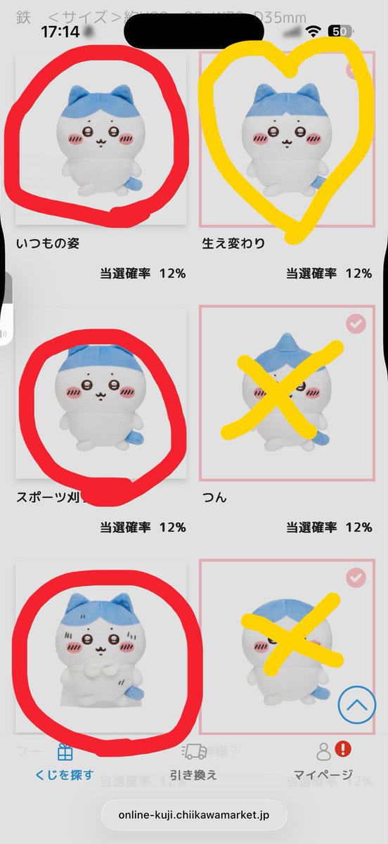 🐶 tweet media
