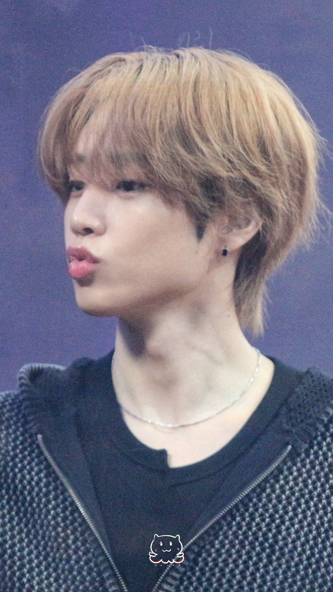 봄.. tweet media