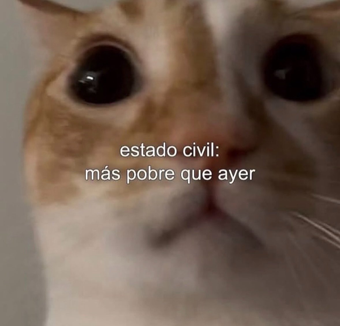 norelenita's tweet photo. Buenas Buenas https://t.co/zf2XMeamHj