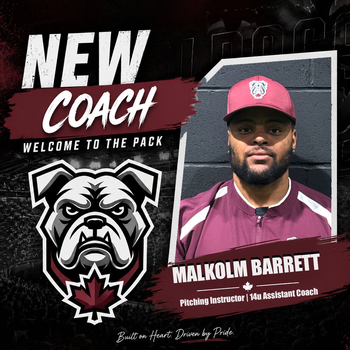 CanBulldogs's tweet photo. Very excited to announce a stellar addition to the Bulldogs coaching staff, Malkolm Barrett, an alumni of Wheeling University, joins as a pitching instructor and 14U assistant coach.

Welcome to the pack, Coach Malkolm!!! https://t.co/L1kgzdaKYz