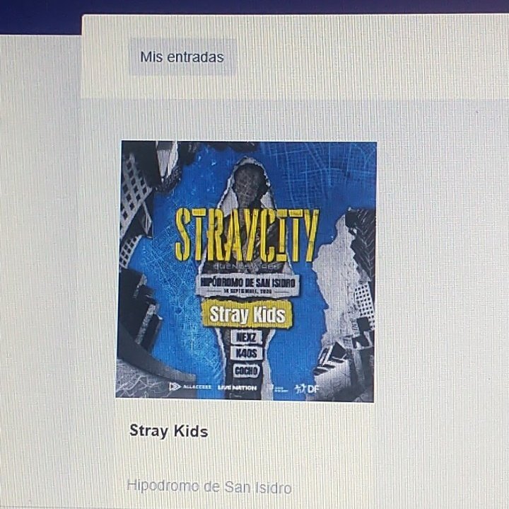 xime VA A VER A SKZ 🇦🇷 tweet media