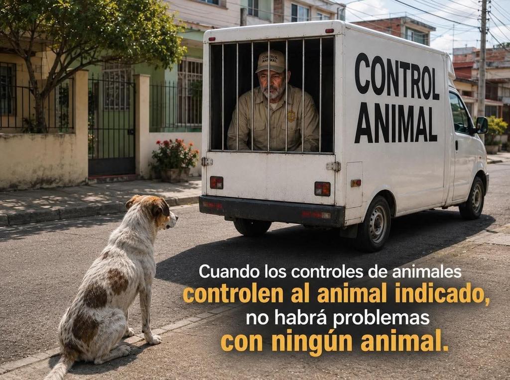 nydiacervera's tweet photo. #ControlAnimal así debe de ser! #NoAlMaltratoDeLosAnimales #EsterilizaciónLaSolucion #EsterilizarEsAmar #EsterilizarSalvaVidas política pública #BienestarAnimal @nuevoleon @Edomex @GobiernoJalisco @Gob_Puebla @ChiapasGobierno @Gob_Guerrero @GobiernoVer @GobOax @GobiernoMorelos https://t.co/2iPHRj1DML