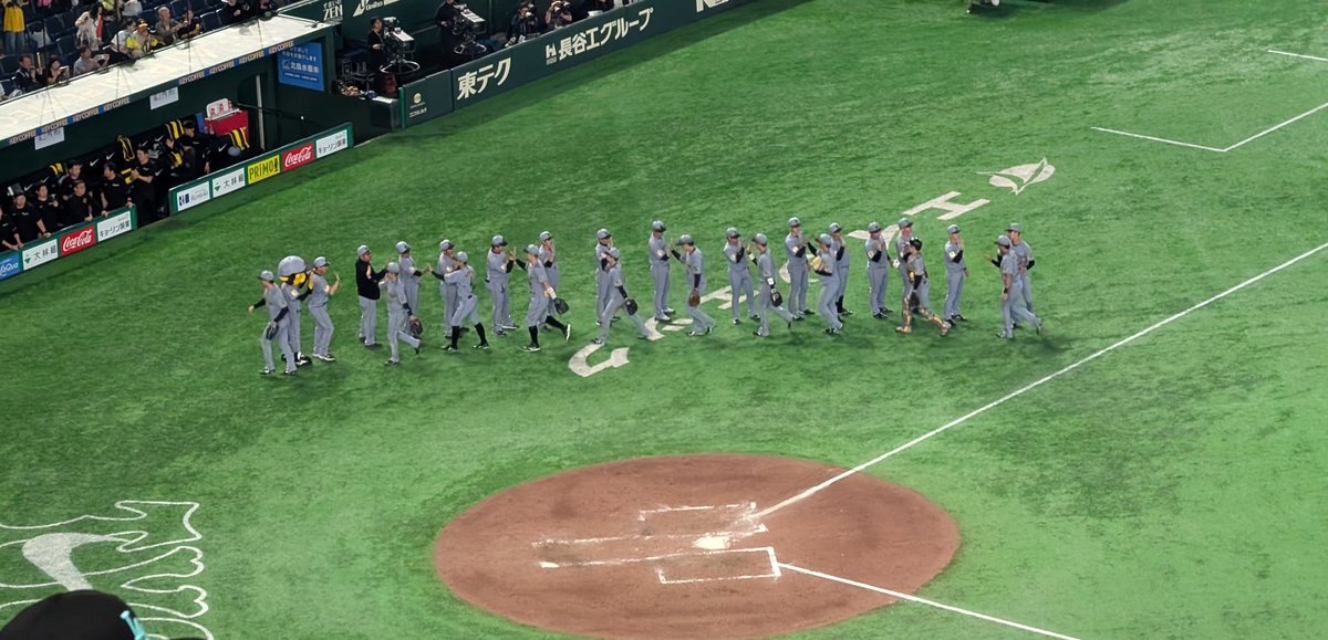 hochopip's tweet photo. 村上くん完封の日に念願の伝統の一戦行けました😭🙏🩷
はじめての東京ドームめちゃくちゃ楽しかった！ビジター取れへんかったし…ってドキドキしてたけど何も心配いらんくらい阪神ファンいはりました笑笑🥹🩷
後ろの気のいい巨人ファンの方ともお話したり1日ずっと楽しかったですまた絶対遠征する🎶🎶 https://t.co/N9Dt1zB2WZ