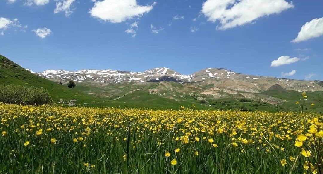 avbarisyildirim's tweet photo. İlimiz Pülümür ilçesi Karagöz Köyü'nde DİMİN MADENCİLİK SAN. TİC. A.Ş. tarafından yürütülmek istenilen Krom Madenciliği Projesi'ne dair Çed sürecine ilişkin olarak Tunceli Tarım ve Orman İl Müdürlüğü proje sahasının 4342 sayılı Mera Kanunu hükümleri çerçevesinde korunması gerektiği gerekçesiyle olumsuz görüş belirtti...Hayırlı olsun...Projenin Çed süreci derhal sonlandırılmalı  ve proje iptal edilmelidir...Pülümür Karagöz Bölgesi Önemli Doğa Alanı ve Önemli Bitki Alanı durumunda...