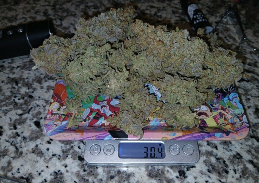 James420_Jayson's tweet photo. Dm Whatsapp +1 (661) 545-1686
https://t.co/K5dQmf9Eid https://t.co/R2KmGwRaml