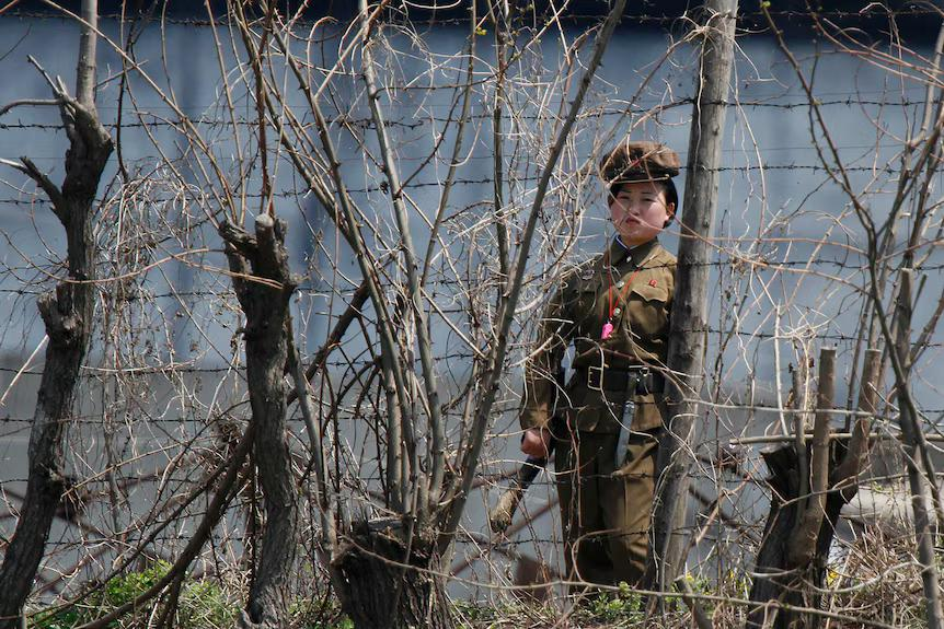 MarioNawfal's tweet photo. 🇰🇵 A man smuggled Squid Game into North Korea on a USB drive, sold a copy to a high school student, and was tied to a post and shot to death.

The student got life in prison, his friends got 5 years of hard labor.

The Kim regime has outlawed foreign media, mandated state-approved hairstyles, criminalized sharing a birthday with Kim Il-sung, and operates prison camps where 3 generations of a family can be punished for 1 person's crime.

The madness isn’t accidental… it’s strategic.

Every escalation happened because the outside world got a little too close, and the regime knows the moment North Koreans see how South Koreans live, the whole thing starts to unravel.

40-50 nuclear warheads, 25 million people living under total information blackout, and the only thing keeping it together is fear, China's willingness to prop it up, and the fact nobody outside has wanted to pay the cost of ending it.

You can execute the smugglers, but you cannot kill the curiosity. 

Eventually, that wall is going to crack.

Source: @KenLaCorte (@ElephantsInRooms YT)